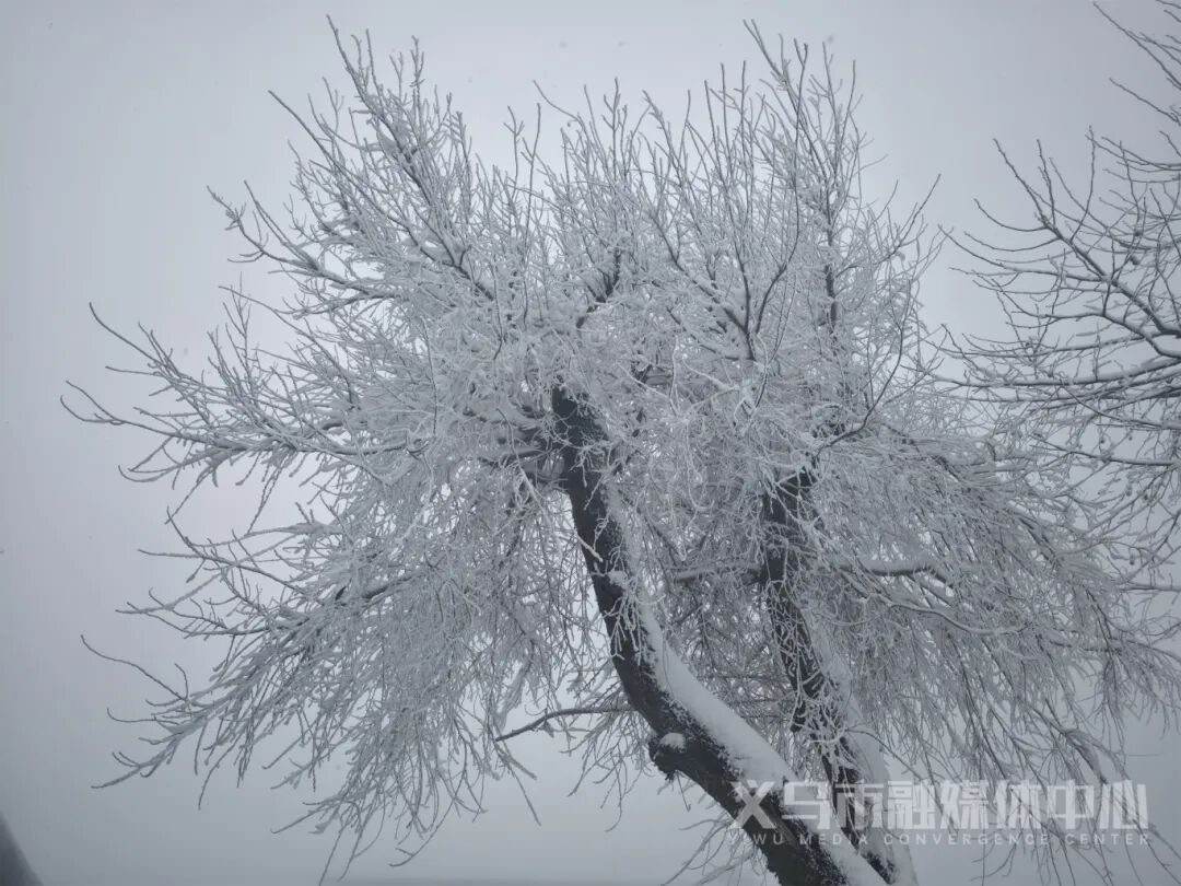 ΢��ͼƬ_20250222140447.jpg